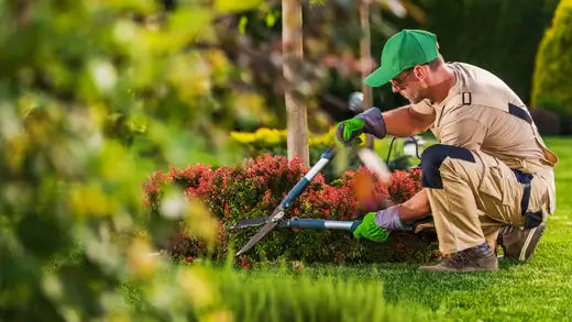 Hiring A Landscape Contractor: Tips - TN Nursery