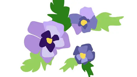 How to Add African Violets to Your Garden - TN Nursery