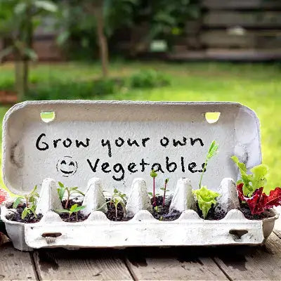 How To Grow Vegetables in your garden - TN Nursery
