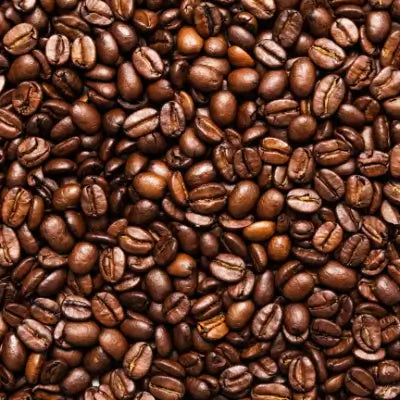 Is a Coffee Bean a Fruit | TN - TN Nursery