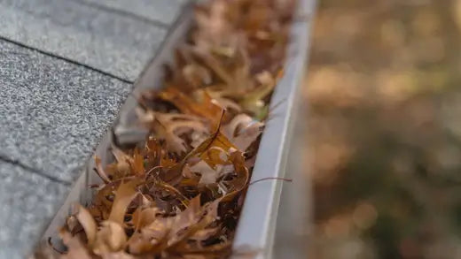 Methods To Prevent Clogged Downspouts - TN Nursery