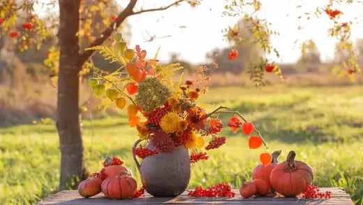 Perfect Perennials to Symbolize Autumn Is Nearing - TN Nursery