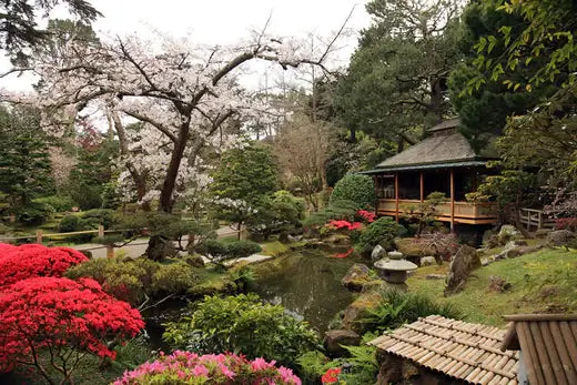 San Antonio's Japanese Tea Garden - TN Nursery