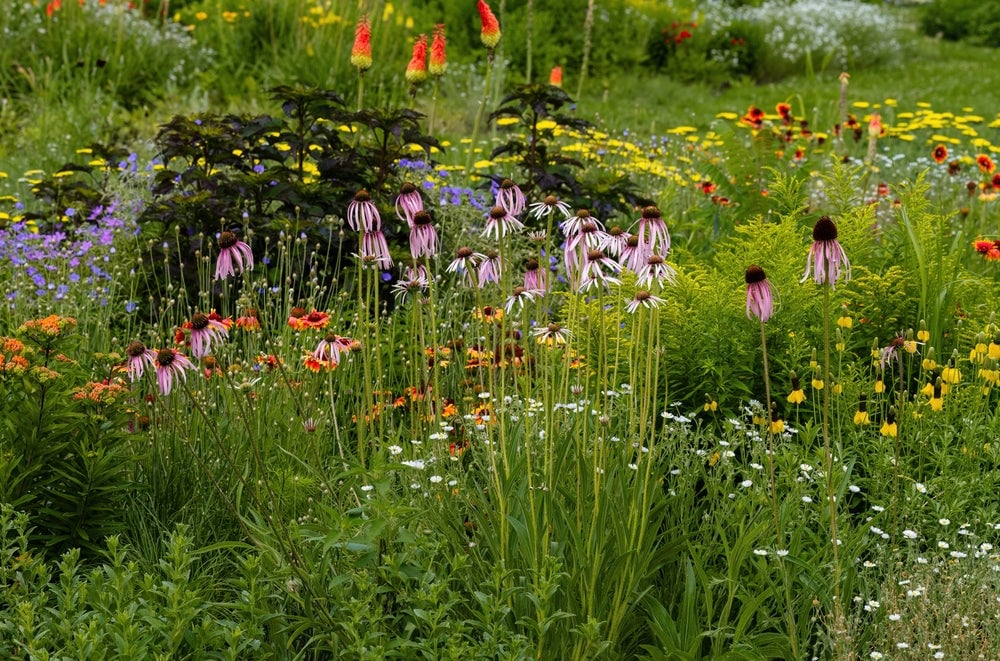 Designing An Informal Garden