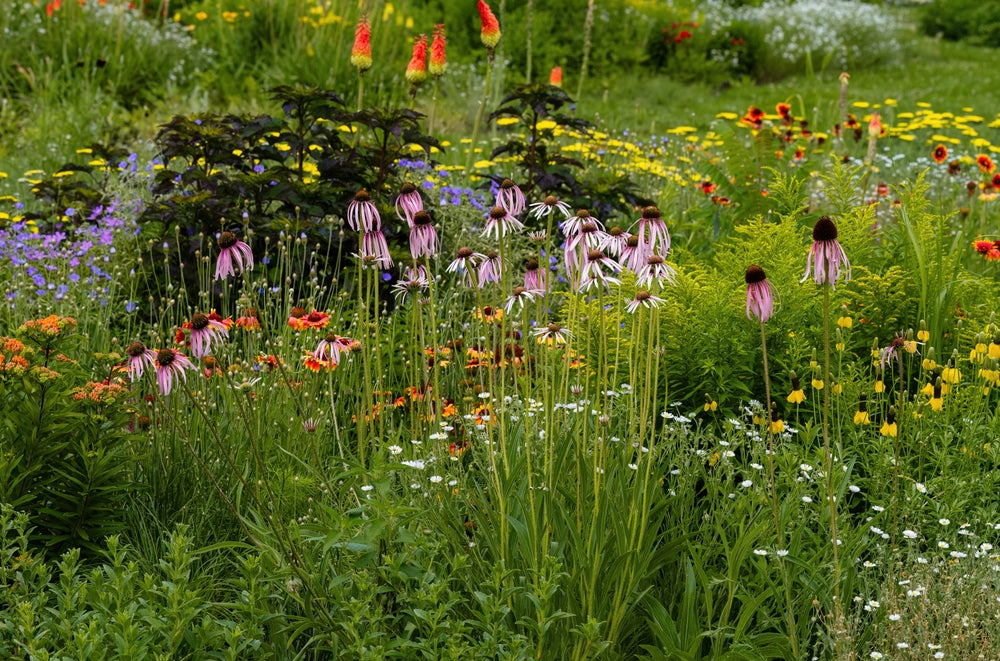 Designing An Informal Garden