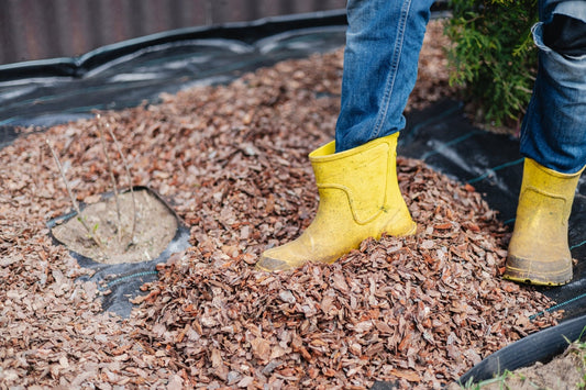 Winter Garden Prep on Protecting Plants for a Beautiful Spring