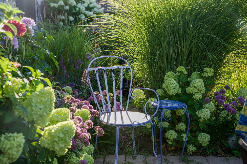 Garden Tips For Beginners