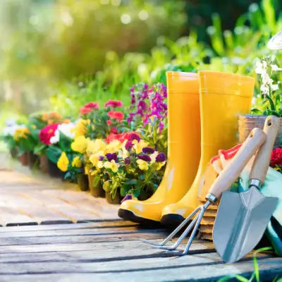 Spring Trends in Gardening to Be Aware of for 2022 and Beyond - TN Nursery