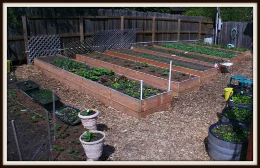 Square Foot Gardening - The Pros and Cons - TN Nursery
