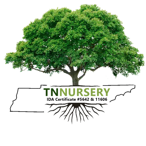 Tennessee Wholesale Nursery - Nurseries Reviews - TN Nursery