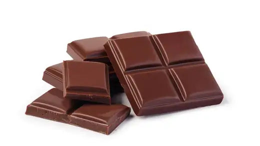 The Origin of Chocolate | Facts and Information - TN Nursery