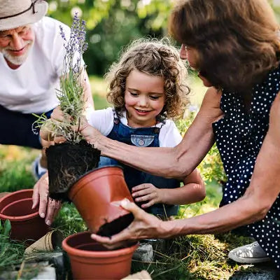 Tips to Make Gardening Fun - TN Nursery