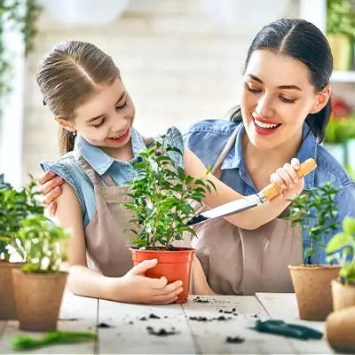 TN Nursery Reviews- Quality Plants at Affordable Prices - TN Nursery