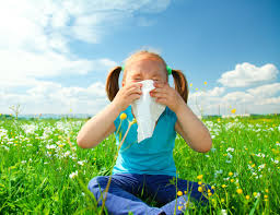 Top 5 Ways Keeping Pollen at Bay . - TN Nursery