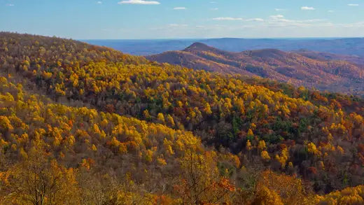 Top Destinations To Visit For Fall - TN Nursery