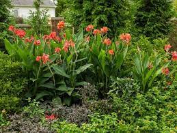 Trends in Gardening to Be Aware of for 2023 and Beyond - TN Nursery