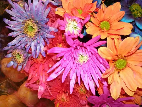 Uses for Fresh Flowers | TN Nursery - TN Nursery