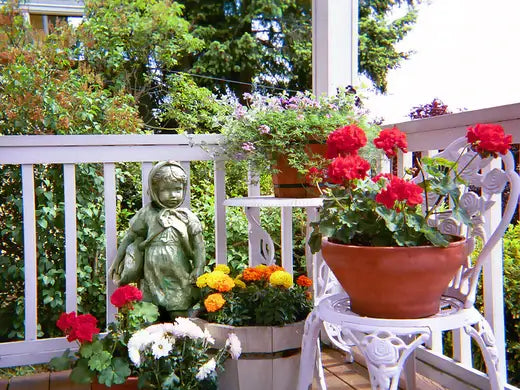 What to Know about Container Gardening - TN Nursery