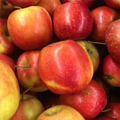 What You Need to Know About Growing Fruiting Apple Trees - TN Nursery