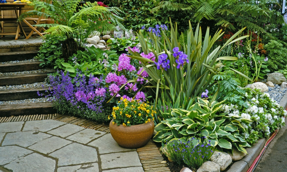 Buy Native Plant Subscription Box - 3 Plants Per Month Perfect For Your Zone online at TN Nursery