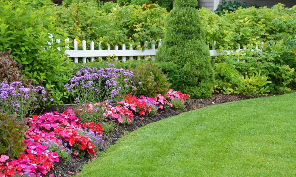 Plant Subscription - TN Nursery