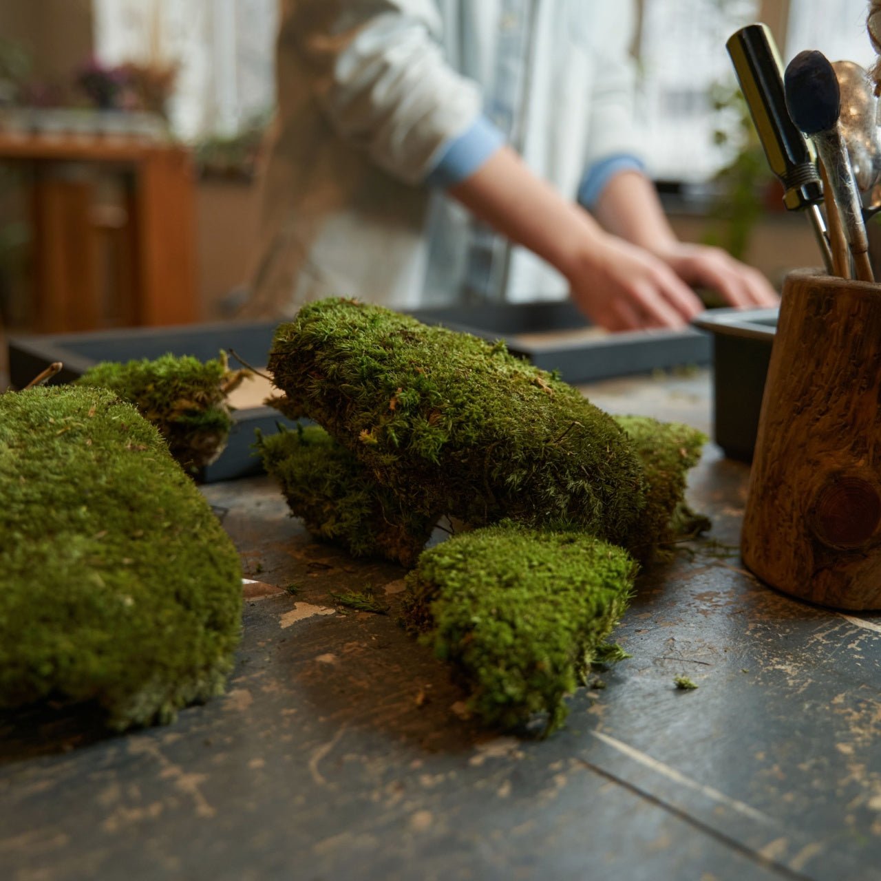 Moss Meadow Sampler