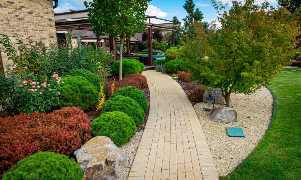 Stunning walkway with native plants and trees