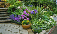 A variety of colorful plants and flowers in different pots placed on a stone pathway, representing a thriving garden.