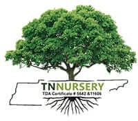 TN Nursery