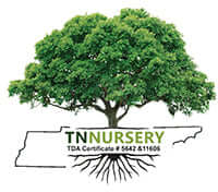 TN Nursery