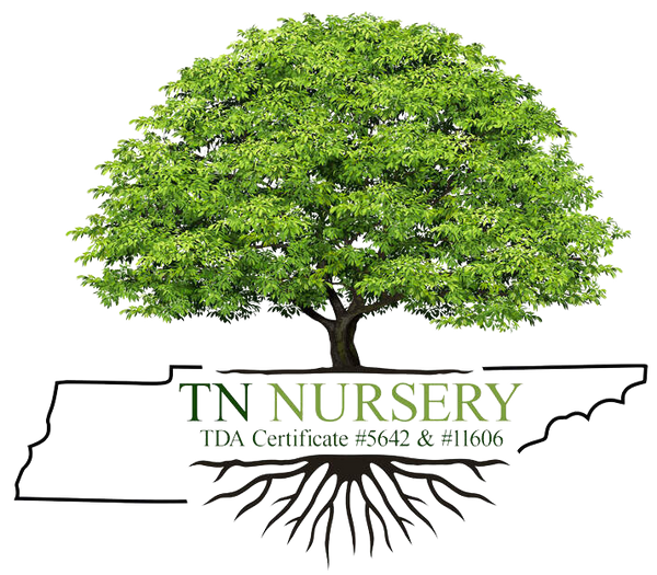 TN Nursery Logo
