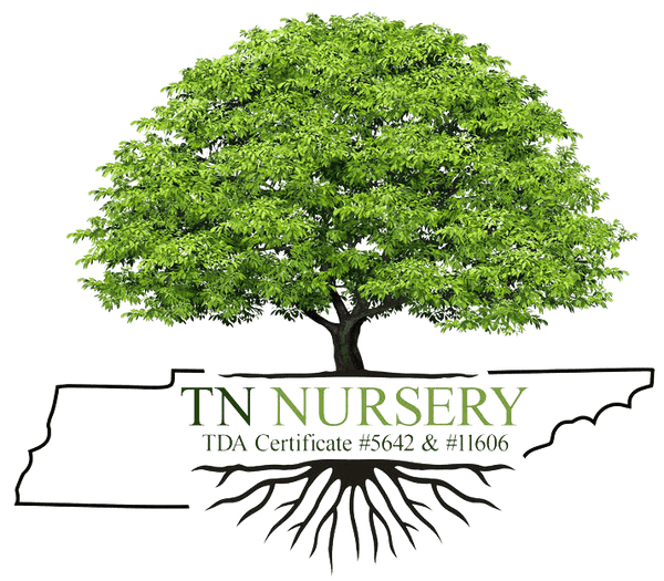 TN Nursery Logo