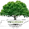 Tnnursery.net Review 1 by BestFREE.nl tnnursery.net Logo