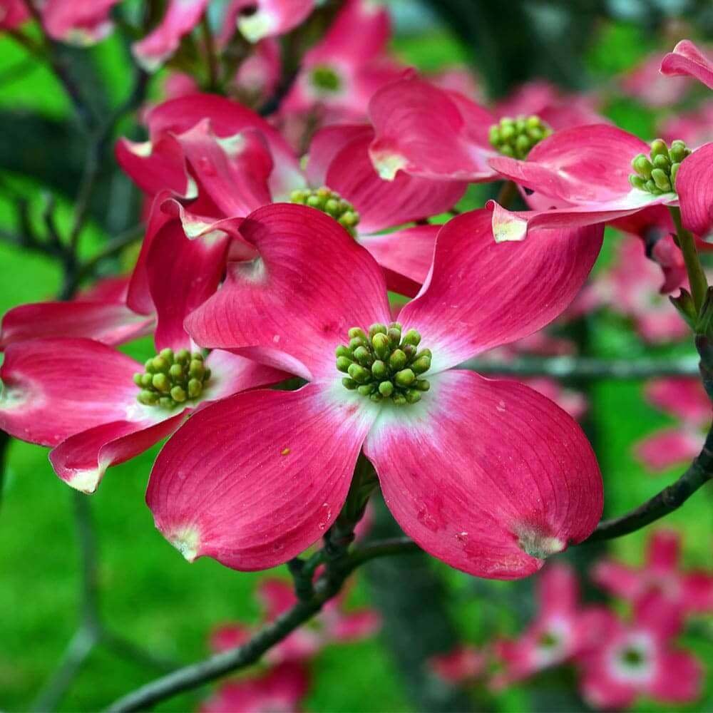 My Image 30