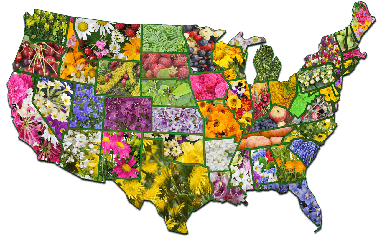 TN Nursery