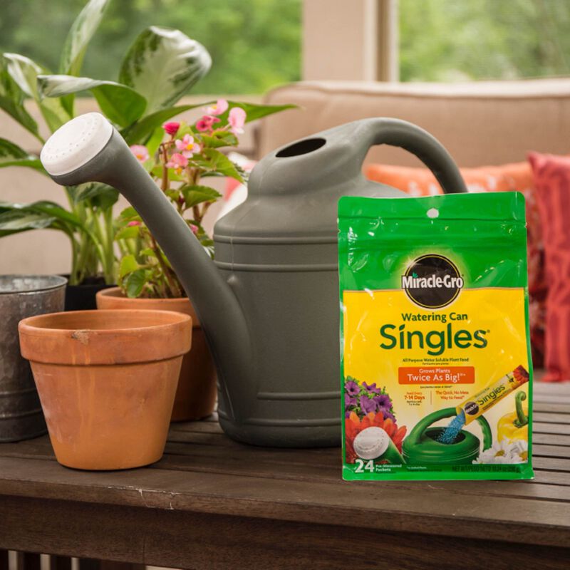 A packet of Miracle Grow Watering Can Singles placed next to a green watering can, with a background of potted plants.
