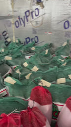 Shop for Pawpaw trees online at TN Nursery