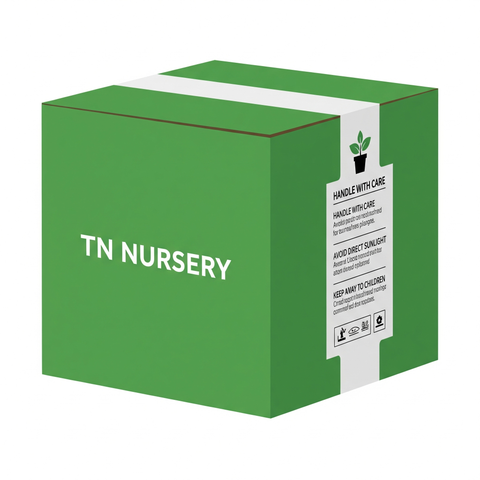 Protective Boxing & Labeling