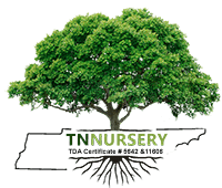 Navigate back to TN Nursery homepage