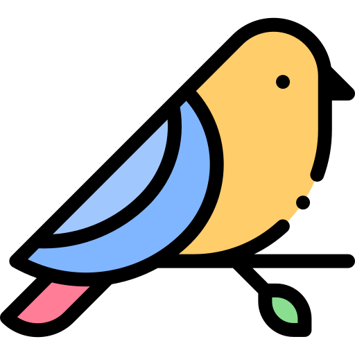 bird