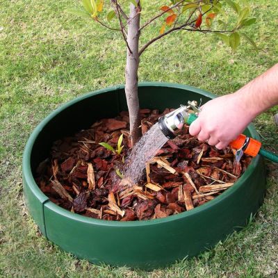 Fruit Tree Care: Planting Fruit Trees - Stark Bro's
