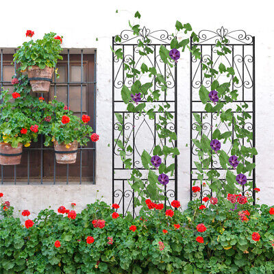 2Pack Rustic Garden Trellis Tall Rustproof Sturdy Trellis f Climbing Roses Vines | eBay