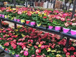 Image result for garden