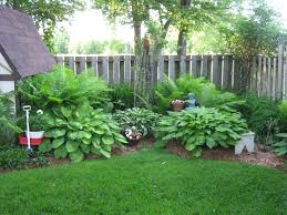 Image result for fern garden ideas