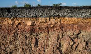 Image result for soil
