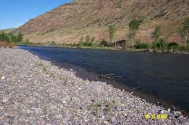 Image result for Sometimes, successive storms strip stream banks of the natural, native vegetation that lines their shores and makes them resilient to flooding. When streams lose their native layer of protection, they often experience more frequent and more severe flooding.