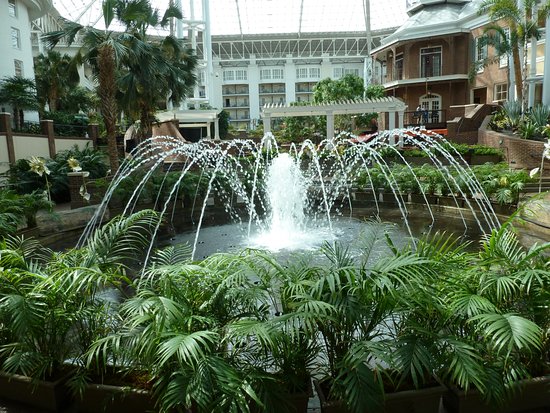 Image result for opryland resort gardens