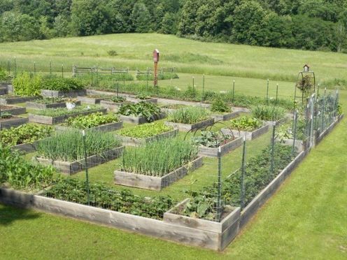 Homestead farm garden layout and design for your home 3 | Garden layout,  Farm layout, Garden layout vegetable