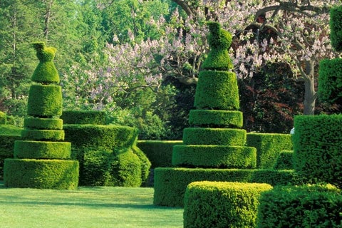 Topiary