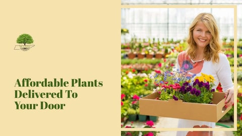 TN Nursery Affordable Plants